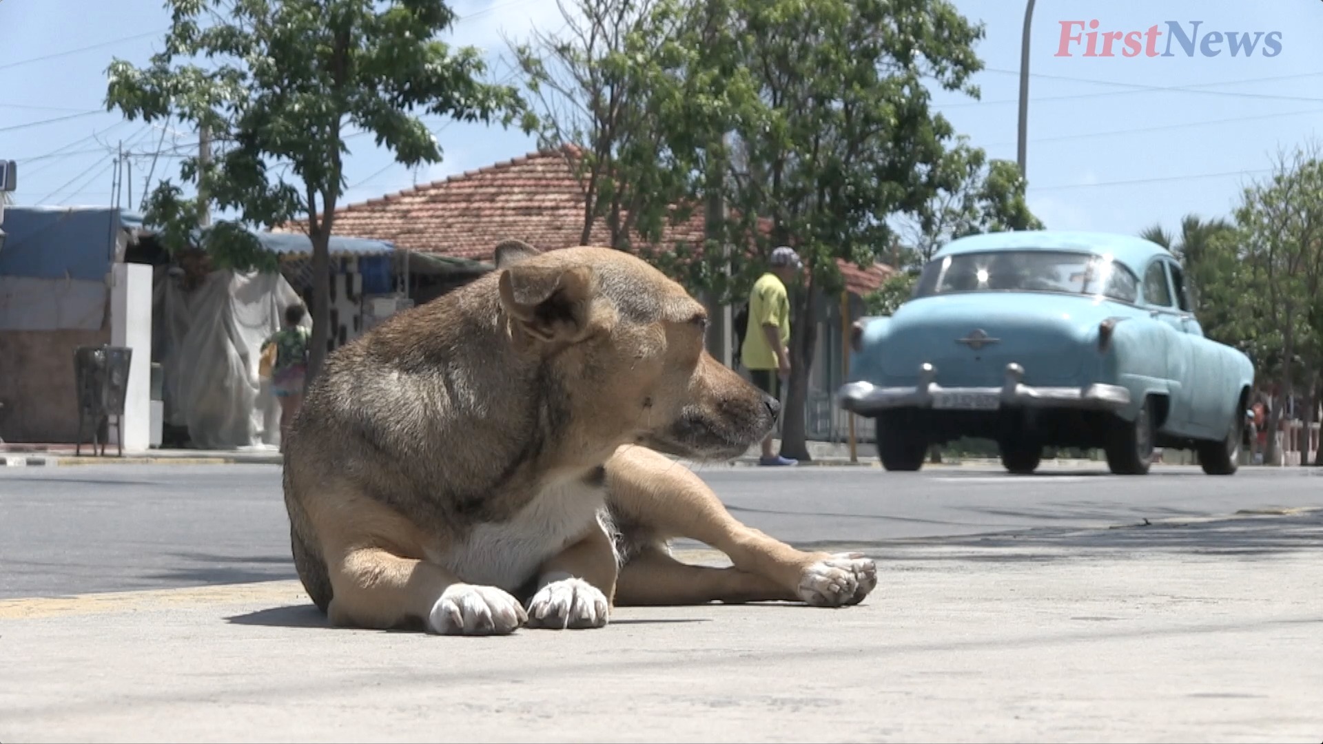 Cuba